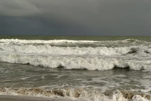 Prolifération de microalgues sur le littoral : des eaux colorées...